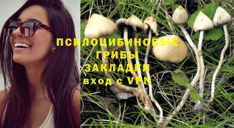 Псилоцибиновые грибы Magic Shrooms  купить   OMG   Грязи 